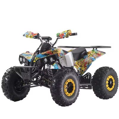 Op maat gemaakte kleuren 1000W/1500W ATV Quads met Ft Disc Rr Disc Brake