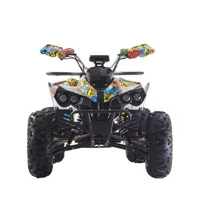 Op maat gemaakte kleuren 1000W/1500W ATV Quads met Ft Disc Rr Disc Brake