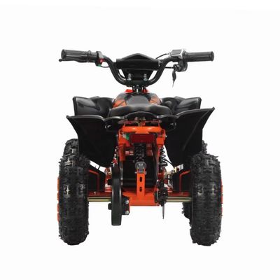 2WD Aotong Motor 800w1000W 36V Off Road Quad ATV Quad Bikes met ketentransmissie