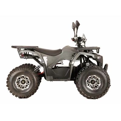 Maximale snelheid ≤ 50 km/h Electric Start Mini Electric ATV met aangepaste kleuren ondersteund