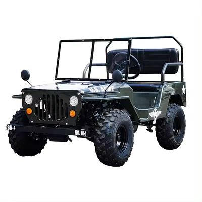 Elektrische 2 zitplaatsen off-road zandwagen voor kinderen Maximale snelheid 50-75 km/u Spanning 48V