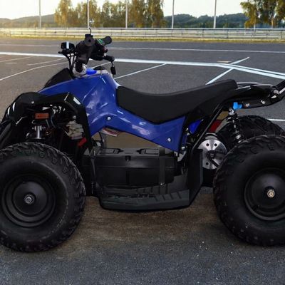 1000W 36V 48V keten aandrijving ATV Ontworpen voor minimale afstand ≤ 100mm