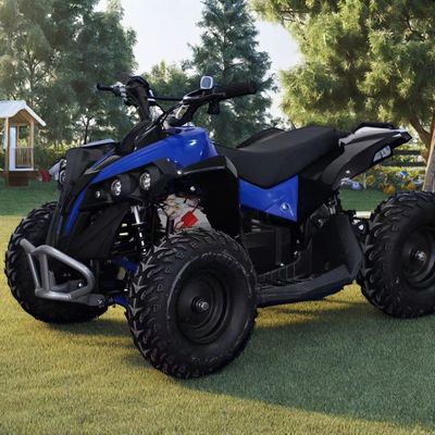 1000W 36V 48V keten aandrijving ATV Ontworpen voor minimale afstand ≤ 100mm