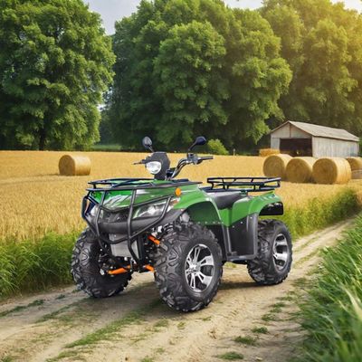 250cc Racing ATV met automatische versnellingsbak en 150-200mm minimale afstand