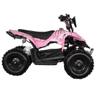 4.10-6/13X5.0-6 band Aotong Motor 800w/1000w Electric Power Sports Quad Bike voor kinderen