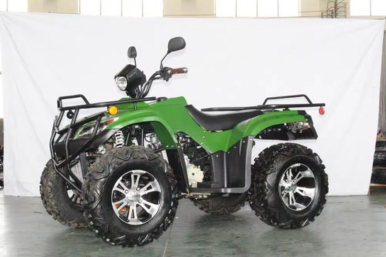 250cc Side by Side Farm ATV Maximale snelheid 75-100Km/h UTV voor volwassenen