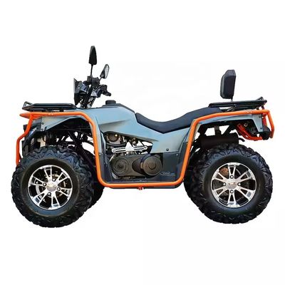 Gepersonaliseerde kleuren 2024 Farm Quads 300cc 4x4 Big Power Utility ATV met Grade Ability