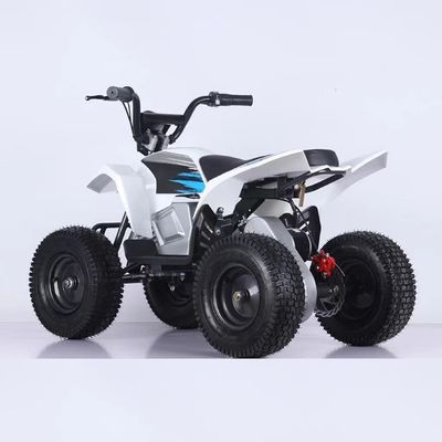 350W Mini Electric ATV Vierwielerfietsen 1000W 36V 12Ah Quadbike met 5-7 uur oplaadtijd
