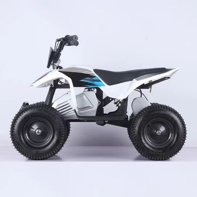 350W Mini Electric ATV Vierwielerfietsen 1000W 36V 12Ah Quadbike met 5-7 uur oplaadtijd