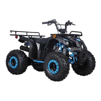 CE gecertificeerd 110cc 125cc Big Power Farm Quad Bike voor kinderen' outdoor avontuur