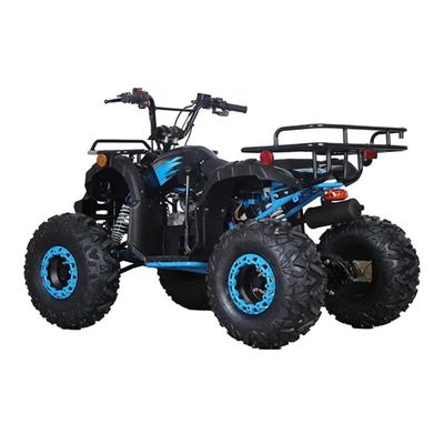 CE gecertificeerd 110cc 125cc Big Power Farm Quad Bike voor kinderen' outdoor avontuur