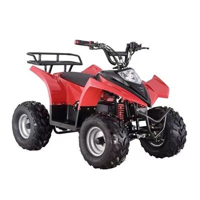 Goedkope mini-elektrische ATV-quad met een inkrimping van ≥ 25° en een verschilslot