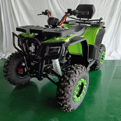 Goedkope 250cc 4 wiel ATV motorfiets met aanpasbare kleuren ondersteund