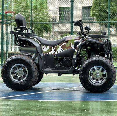 Laat je innerlijke avonturier los 250cc automatische keten aandrijving ATV voor off-road rijden