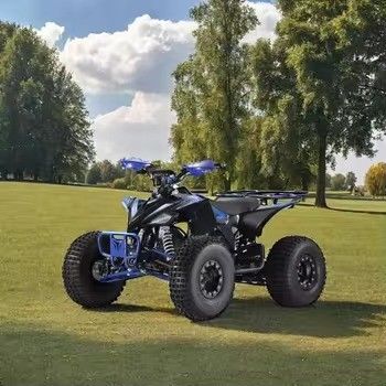 19x7.0-8&quot;/18x9.5-8&quot; banden maat Kids Electric 4 Wheeler Quad ATV 1000w CE-certificering