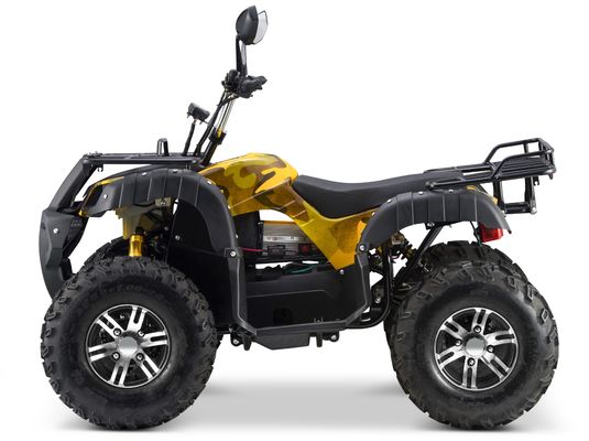 Schakelbare 2WD/4WD rijdende 72V elektrische quad ATV Farm Utility Vehicle Buggy met 7-9h laadtijd