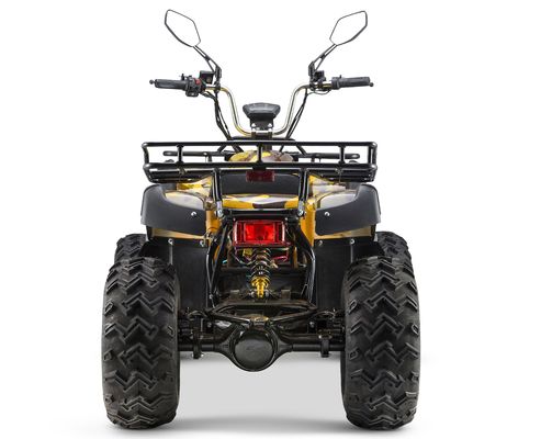 Schakelbare 2WD/4WD rijdende 72V elektrische quad ATV Farm Utility Vehicle Buggy met 7-9h laadtijd