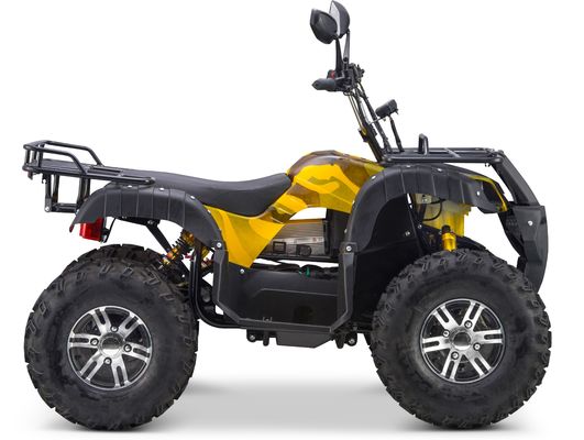Schakelbare 2WD/4WD rijdende 72V elektrische quad ATV Farm Utility Vehicle Buggy met 7-9h laadtijd