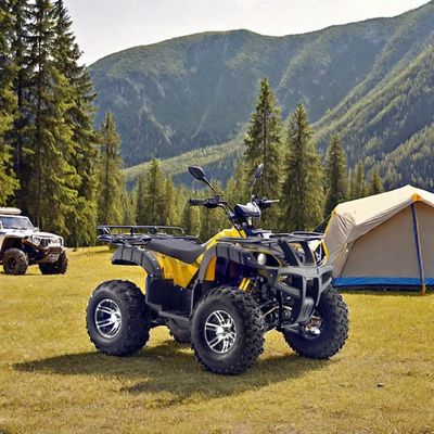 Veelzijdig 60v 72V elektrisch quad ATV Farm Utility Vehicle Buggy 1800-2200mm wielbasis