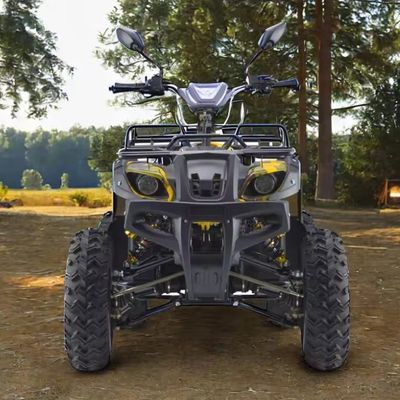 Krachtige 3000W 1500W 4WD 4x4 Moto ATV UTV 1000cc Quad ATV met wielbasis 1800-2200mm