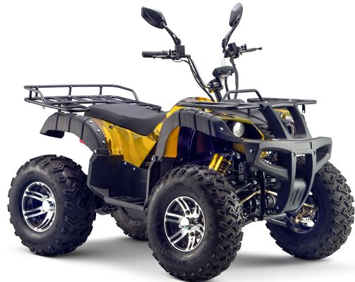 Krachtige 3000W 1500W 4WD 4x4 Moto ATV UTV 1000cc Quad ATV met wielbasis 1800-2200mm