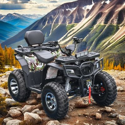 Cylinder nummer 1 Automatische 4WD Atv 250cc 150cc Quad Bike Electric Start Moto Atv 4x4