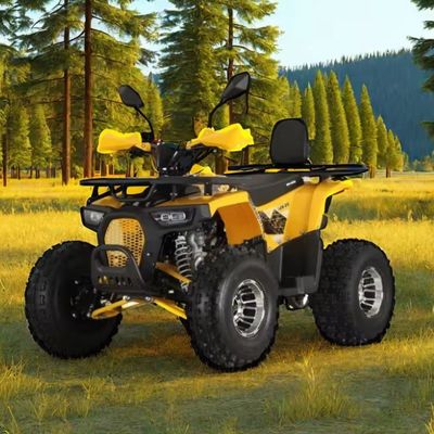 125cc Farm Quads ATV voor volwassenen Krachtige gas / dieselmotor en keten aandrijving