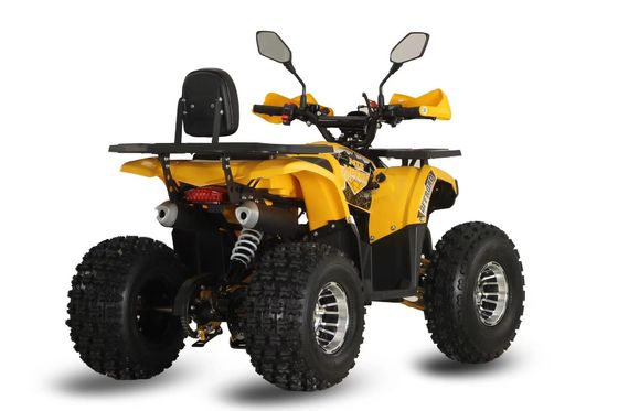 Gepersonaliseerde ondersteunde kleuren Krachtige 125 cc keten aandrijving Gas Racing ATV voor volwassenen