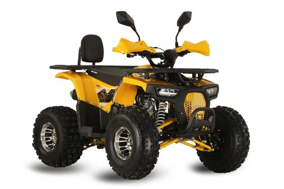 Gepersonaliseerde ondersteunde kleuren Krachtige 125 cc keten aandrijving Gas Racing ATV voor volwassenen