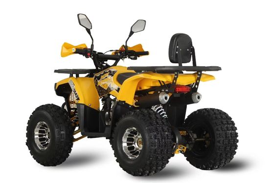 Gepersonaliseerde ondersteunde kleuren Krachtige 125 cc keten aandrijving Gas Racing ATV voor volwassenen