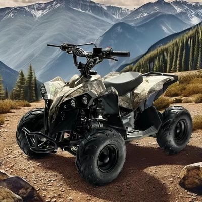 Gasbrandstof 110CC ATV aangedreven door transmissie-systeem met keten aandrijving