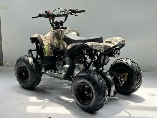 Gasbrandstof 110CC ATV aangedreven door transmissie-systeem met keten aandrijving