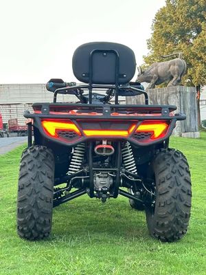 Direct 300cc 350cc 4x4 ATV met aandrijflijn en 25x8-12/25x10-12 banden