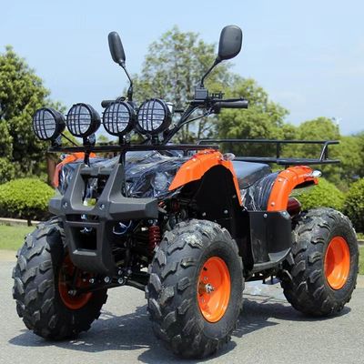110cc 125cc ATV betaalbare automatische keten aandrijving met niet-uitgerust verschil slot