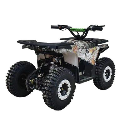 Krachtige 125cc benzine volwassen ATV quadbike met 12V spanning en remgewicht van 100-200kg