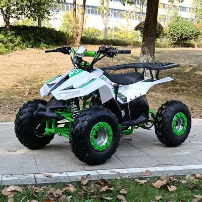 1250*760*800MM 110cc Verplaatsing Kids ATV met elektrische start en keten aandrijving