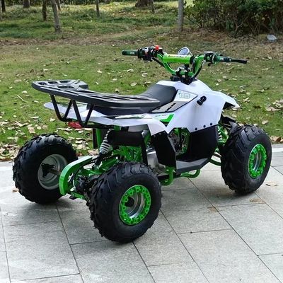 1250*760*800MM 110cc Verplaatsing Kids ATV met elektrische start en keten aandrijving