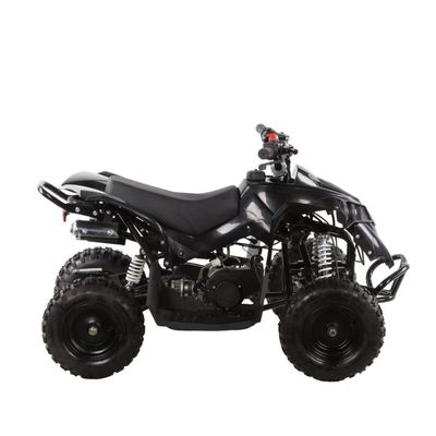 Mini Kids Quad Bike ATV met automatische keten aandrijving transmissie systeem en 49cc motor