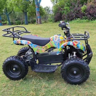 36V 500w 4 wielen offroad motorfiets buggy Ervaar de kracht van keten aandrijving