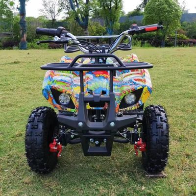 36V 500w 4 wielen offroad motorfiets buggy Ervaar de kracht van keten aandrijving
