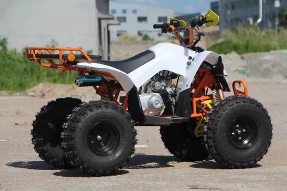 Kids' Economische 110cc Automatic Chain Drive ATV met Front Drum en achterste schijfremmen