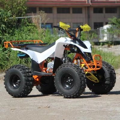 Kids' Economische 110cc Automatic Chain Drive ATV met Front Drum en achterste schijfremmen
