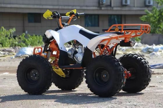 Kids' Economische 110cc Automatic Chain Drive ATV met Front Drum en achterste schijfremmen