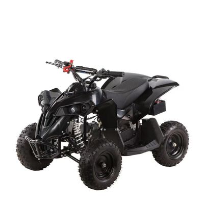49cc Kids ATV 4 Wheels Kids 4x4 Side by Side Mini ATV met ketentransmissie