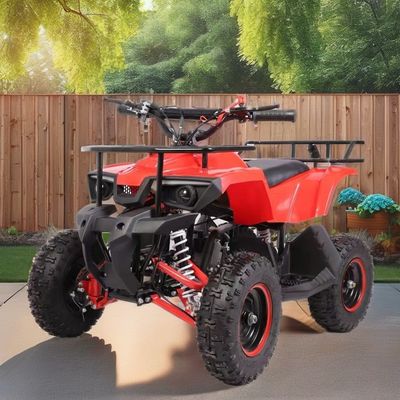 49cc Mini Quad met laag brandstofverbruik Maximaal koppel Nm ≤20Nm Brandstofgas / Diesel