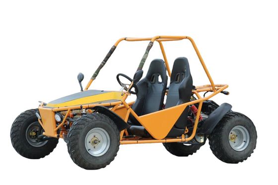 Adult Outdoor Drive Go Kart met 200cc motor Maximaal koppel ≤ 20Nm en Safety Bumper