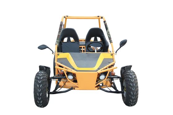 Adult Outdoor Drive Go Kart met 200cc motor Maximaal koppel ≤ 20Nm en Safety Bumper