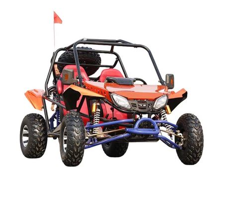200cc Go Karts ATV Quad 2WD Off-Road Buggy met vacuümbanden en 200-300 kg stopt gewicht