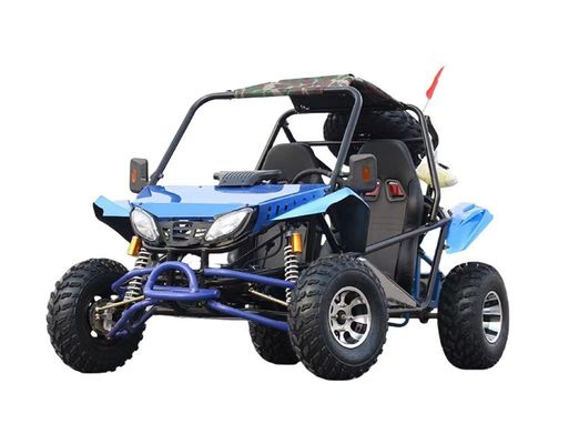 200cc Go Karts ATV Quad 2WD Off-Road Buggy met vacuümbanden en 200-300 kg stopt gewicht