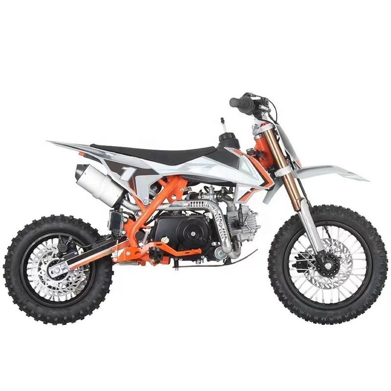 4 slag 70cc 90cc 110cc Benzine Benzine Power Automatic EPA CE Pit Bike voor Motocross